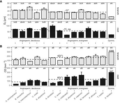 Root and branch hydraulic functioning and trait coordination across organs in drought-deciduous and evergreen tree species of a subtropical highland forest